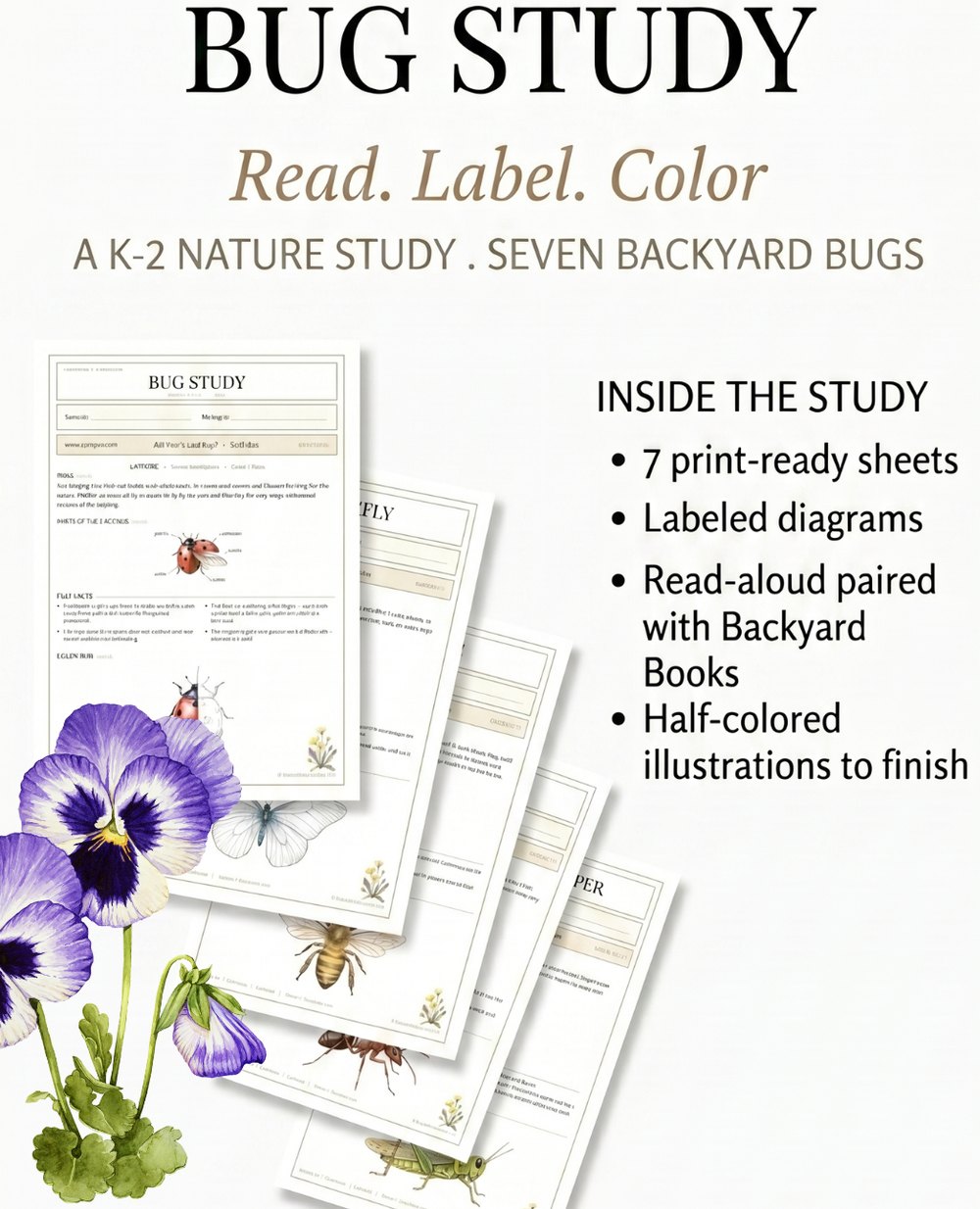 Premium · Nature Study: Bug Study Pack