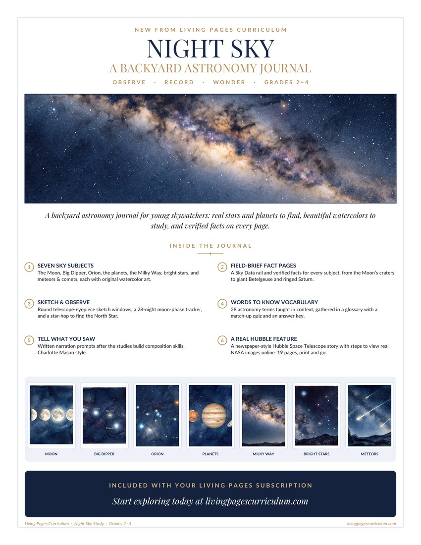 Premium · Astronomy: Night Sky Study