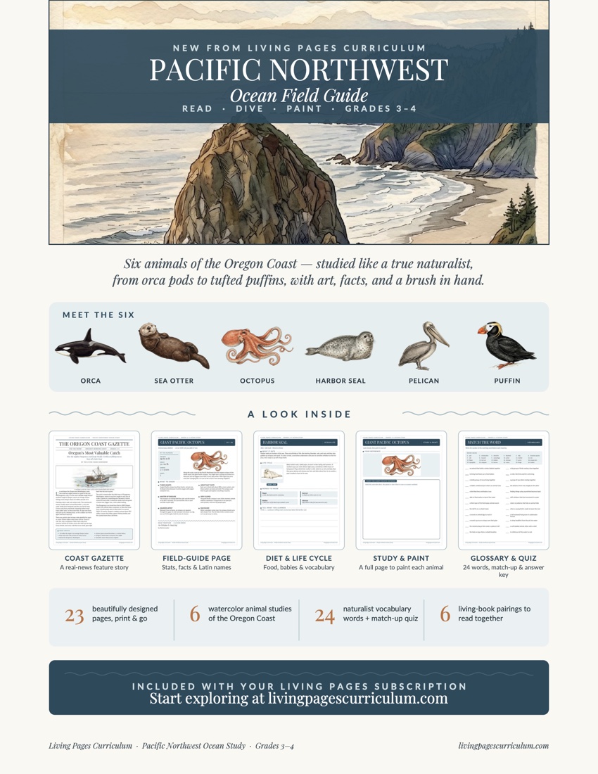 Premium · Animal Study: Pacific Northwest Ocean