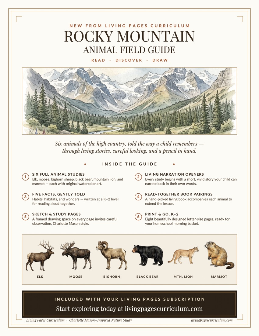 Premium · Animal Study: Rocky Mountain