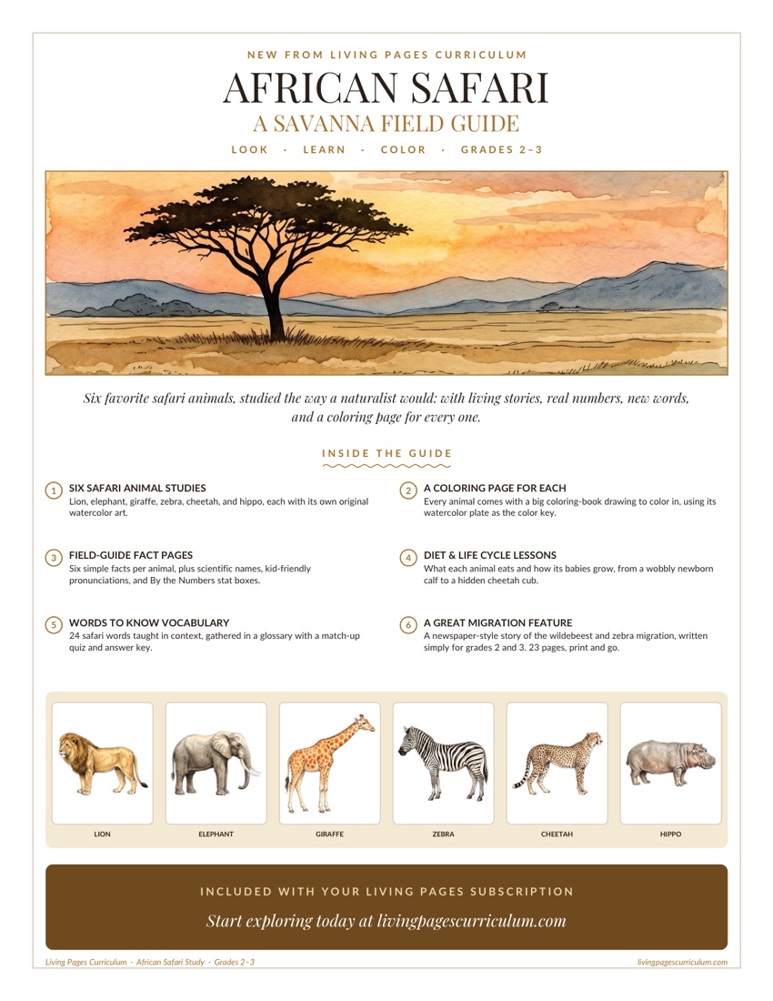 Premium · Animal Study: African Safari